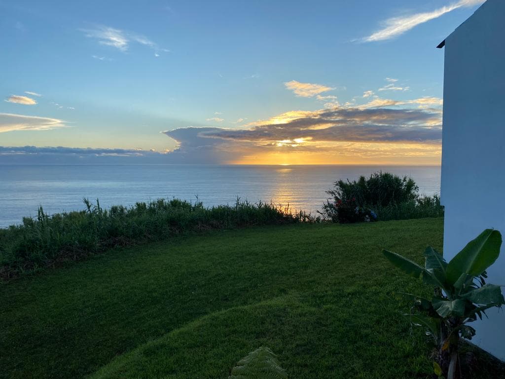 Garden area with volcanic landscape
