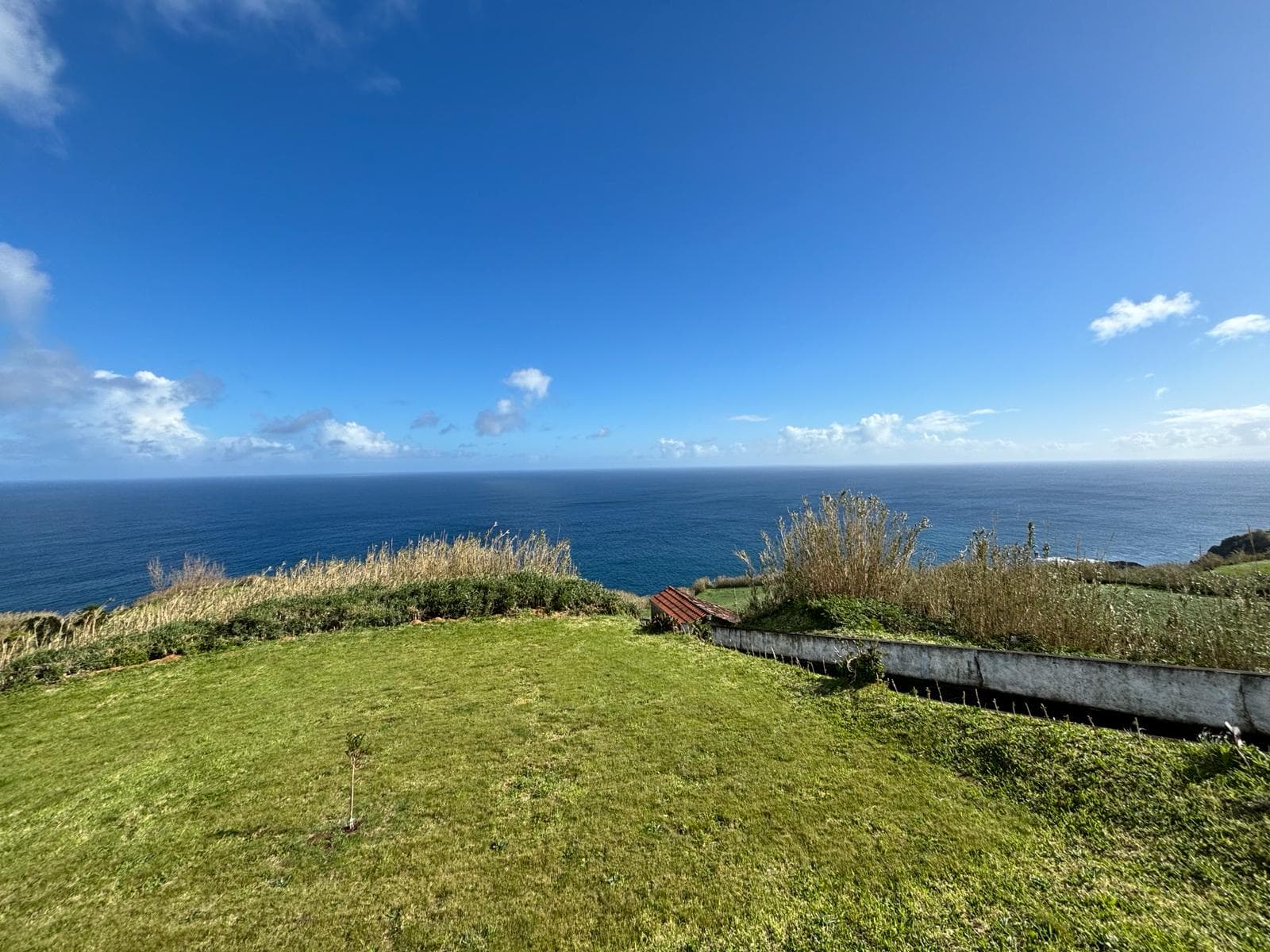 Garden with ocean view